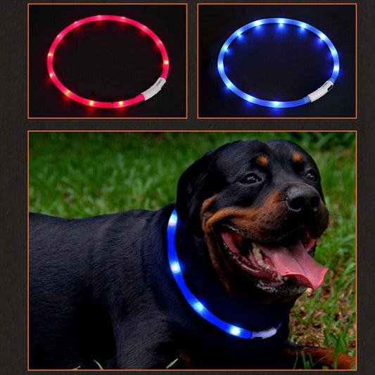 Timo Products™ Luminous Pet Collar