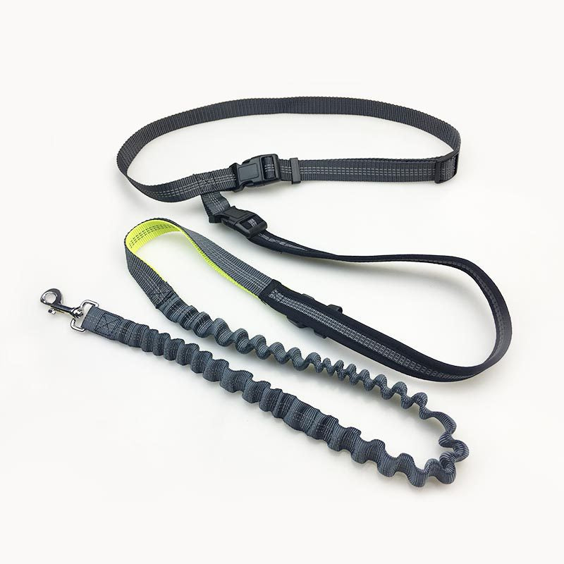 Timo Products™ Hands Free Dog Leash