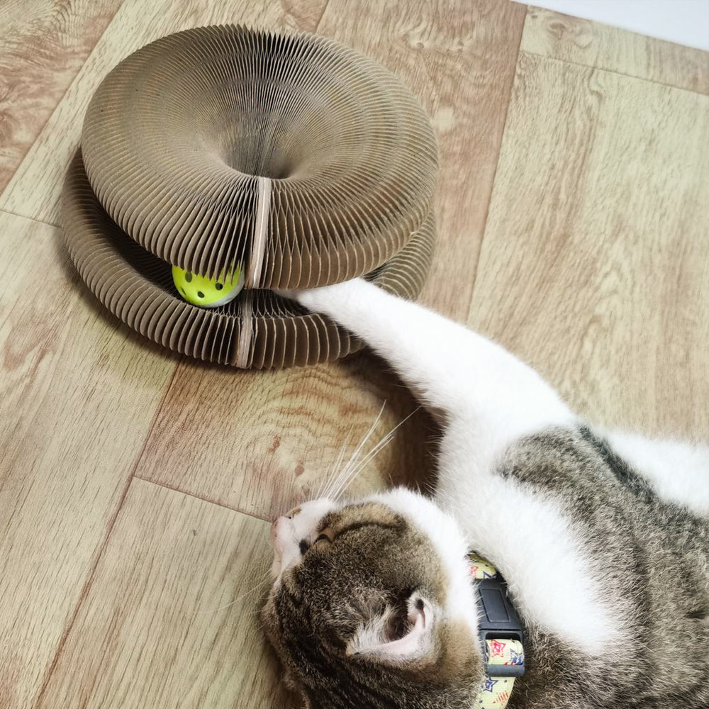 Timo Products™ Cat Scratcher