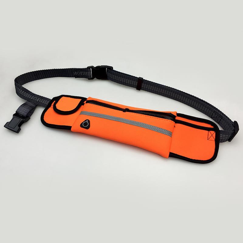 Timo Products™ Hands Free Dog Leash